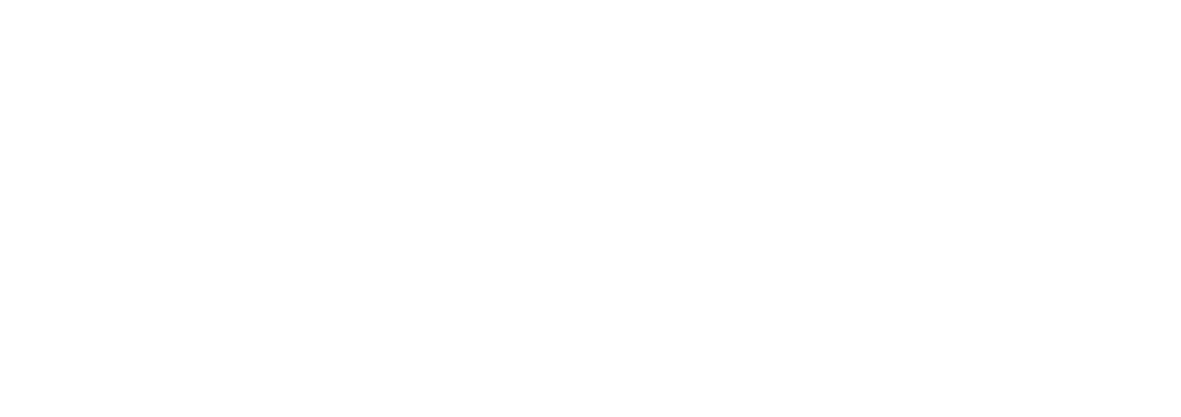 STI - Stockholms Tekniska Institut logotype