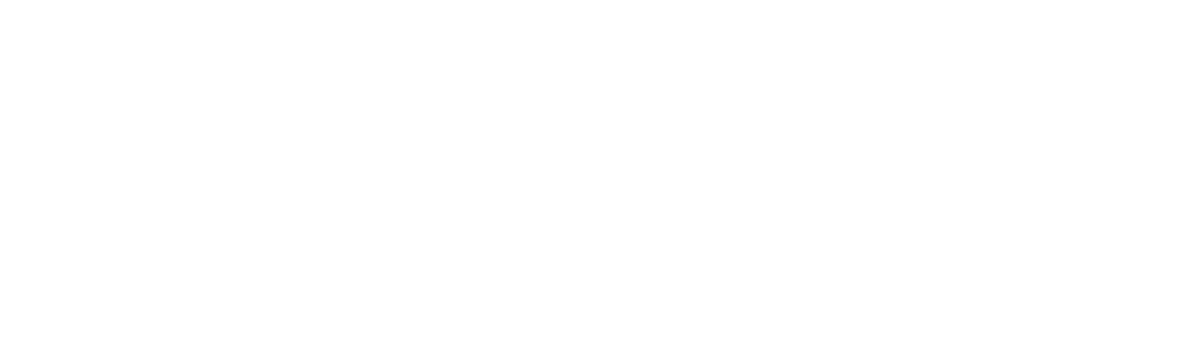 Wise Group AB logotype