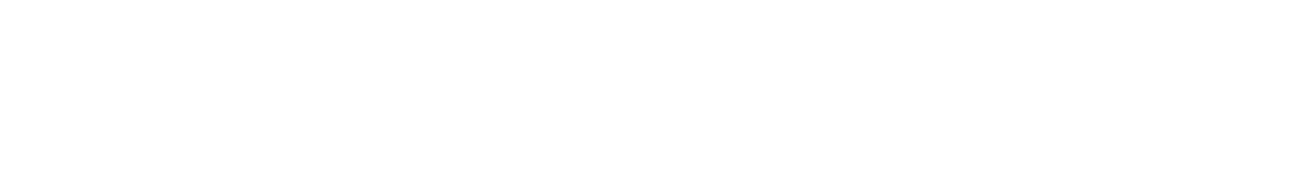 2Secure logotype